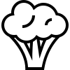GROENTEN